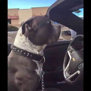 Meet your Posher, Andre